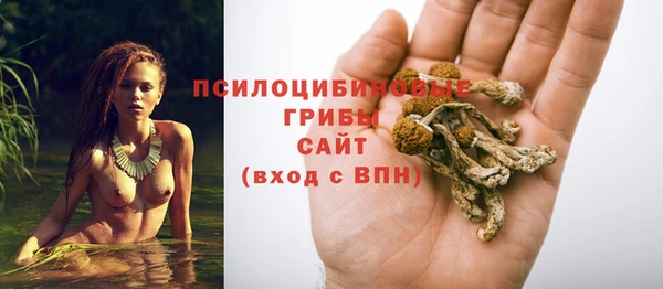 амфетамин Рославль